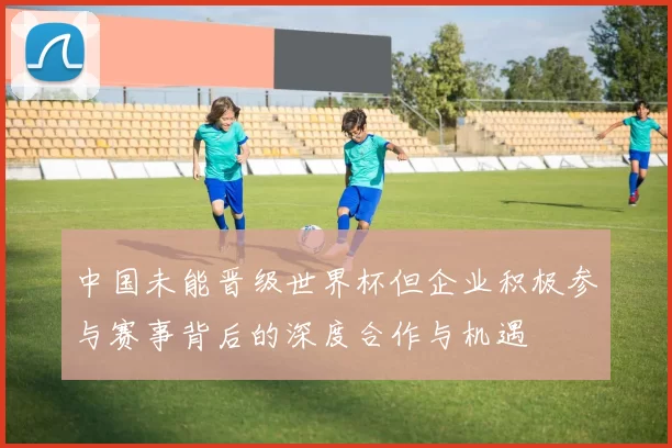 中国未能晋级世界杯但企业积极参与赛事背后的深度合作与机遇
